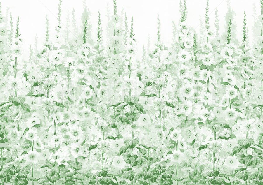 PHOTOWALL / Delphinium Garden Flowers - Green (e95324)