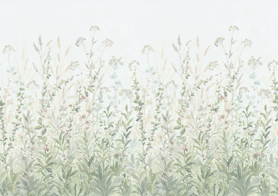 PHOTOWALL / Field of Flower Blossoms - Green (e95325)