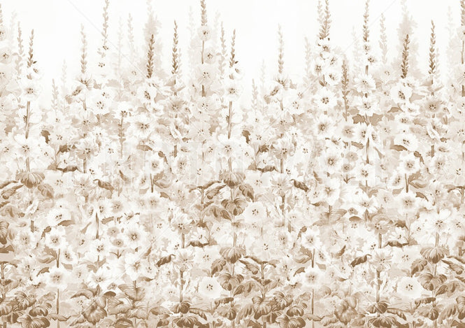 PHOTOWALL / Delphinium Garden Flowers - Brown (e95327)