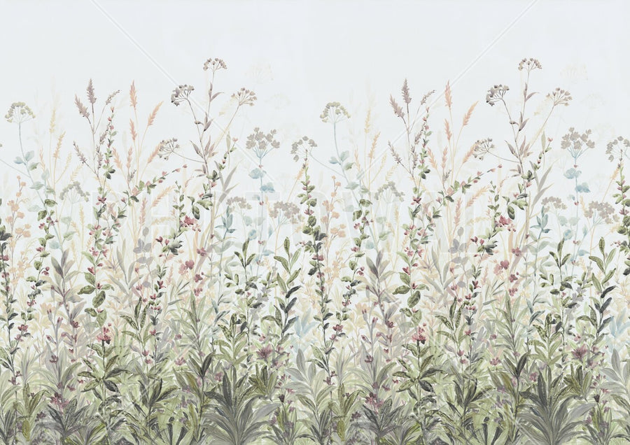 PHOTOWALL / Field of Flower Blossoms (e95329)