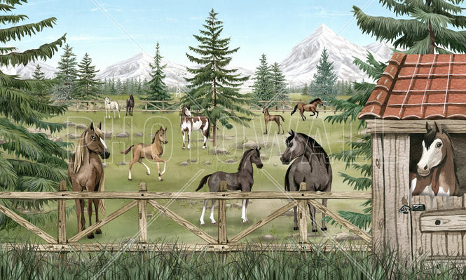 PHOTOWALL / Horse Haven (e95728)
