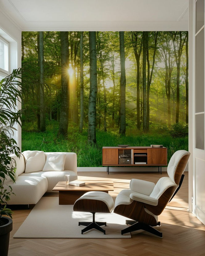 PHOTOWALL / Beech Tree Forest (e97248)