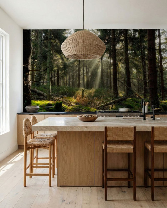 PHOTOWALL / Sunbeam in the Forest (e97333)