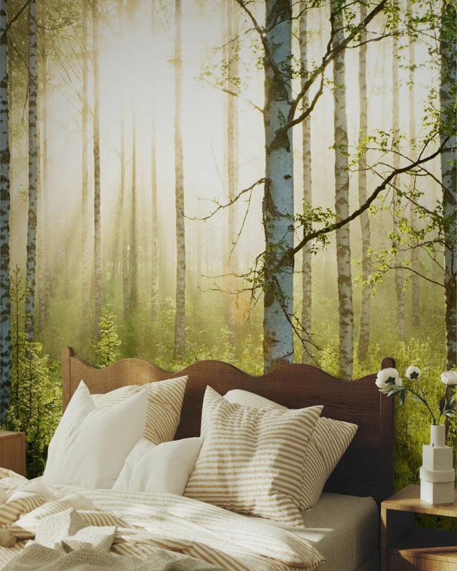 PHOTOWALL / Birch Trees Forest (e97339)
