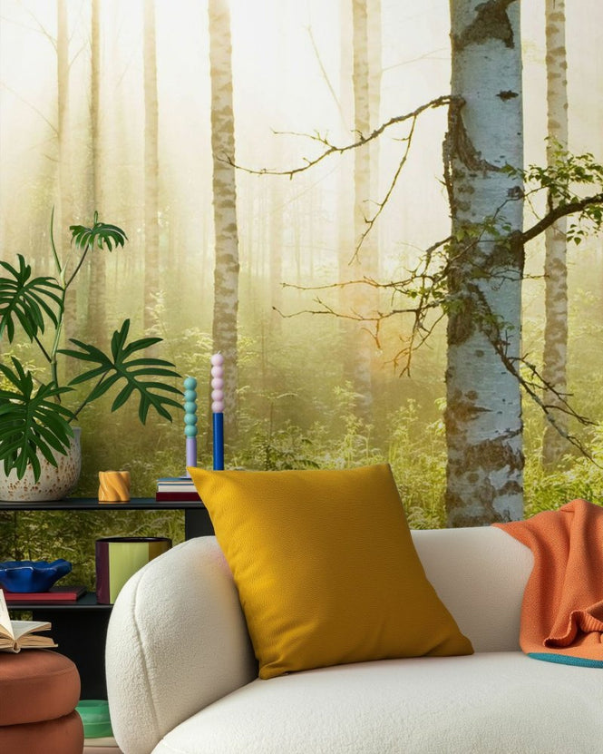 PHOTOWALL / Birch Trees Forest (e97339)