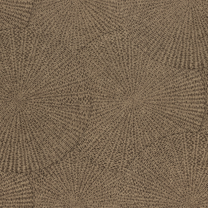 【限定数】【切売m単位】rasch ラッシュ / 979206 (Ascona)