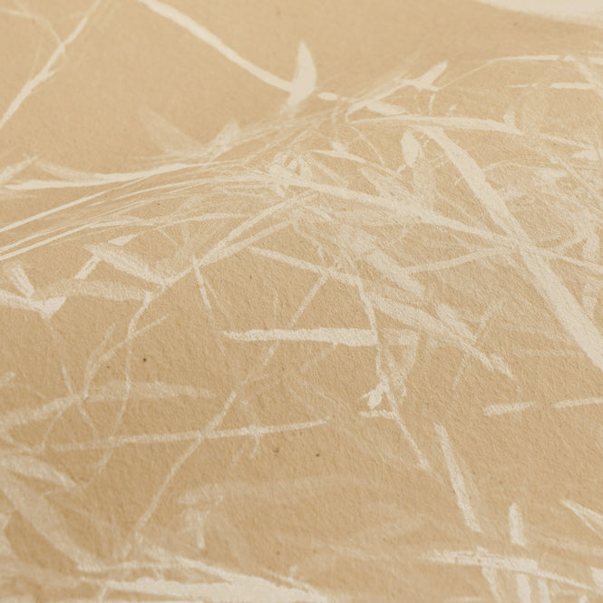 輸入壁紙 Sian Zeng / Bamboo Mural Wallpaper / Beige 【3パネル1セット】