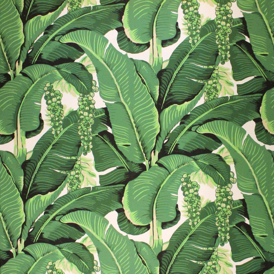 【A4サンプル】Beverly Hills Wallpaper / Brilliant Banana Leaves & Grapes / MIS-19825