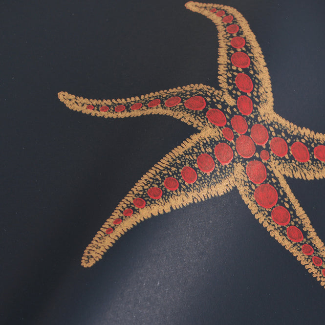 Barneby Gates / WALLPAPER BOOK VOL Ⅵ / Starfish Navy/Sienne BG2200101
