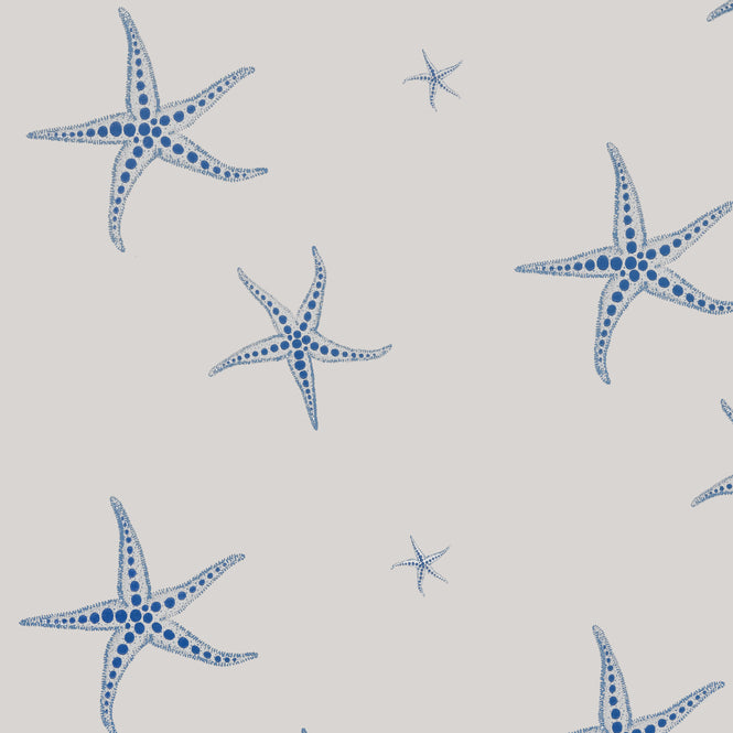 Barneby Gates / WALLPAPER BOOK VOL Ⅵ / Starfish Blue on Parchment BG2200102