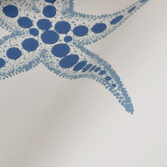 Barneby Gates / WALLPAPER BOOK VOL Ⅵ / Starfish Blue on Parchment BG2200102