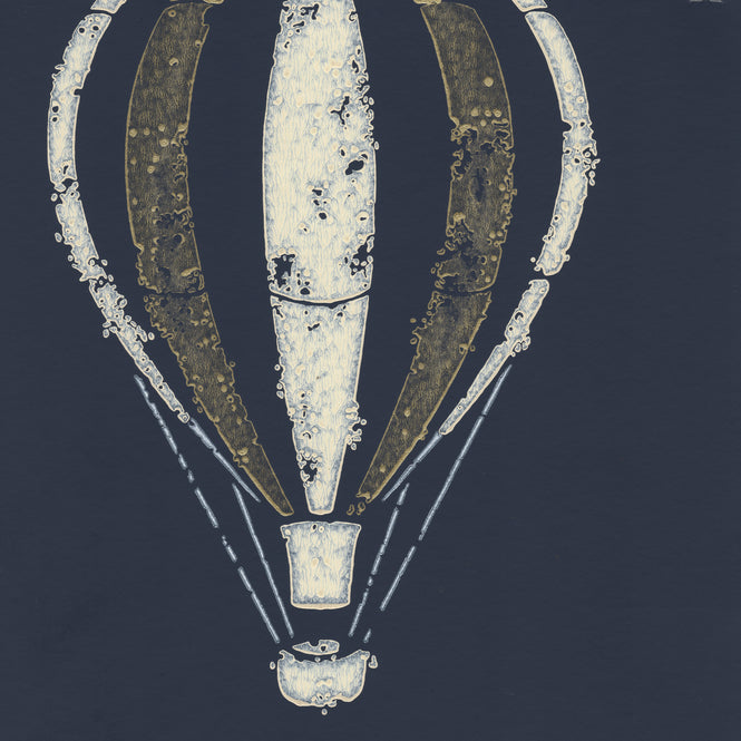 Barneby Gates / Hot Air Balloons Midnight Sky BG2600101