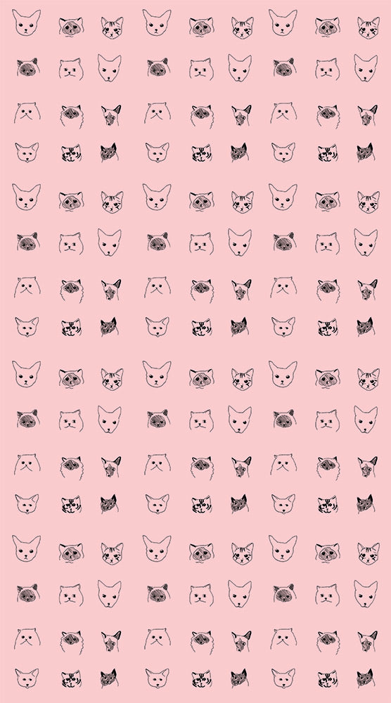 【限定数】【切売m単位】Baines&Fricker / CATS WALLPAPER Pink