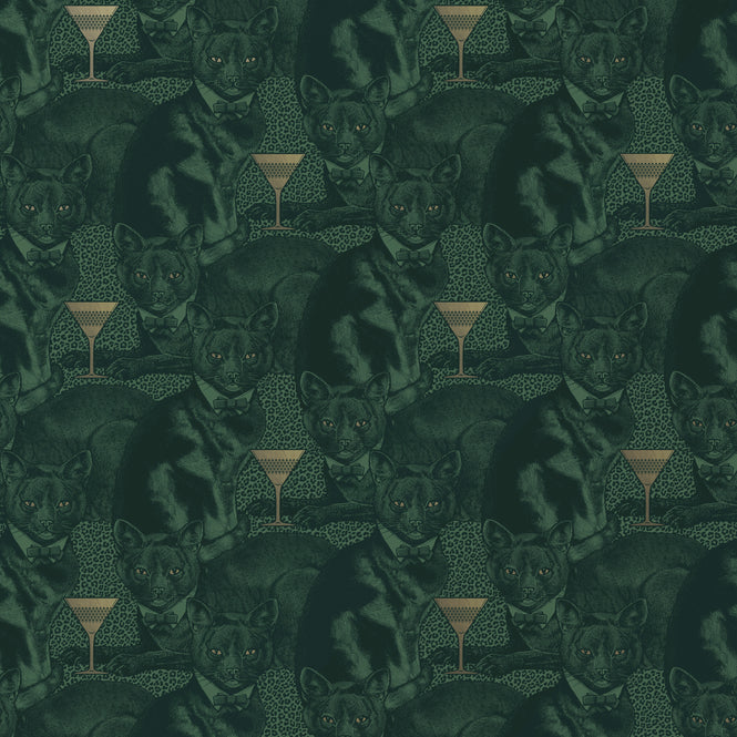 DIVINE SAVAGES / Cat-titude 'Green Envy' / DVS077-CAT-GREEN-WR