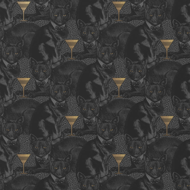 DIVINE SAVAGES / Cat-titude 'Savage Shade' / DVS078-CAT-SHADY-WR