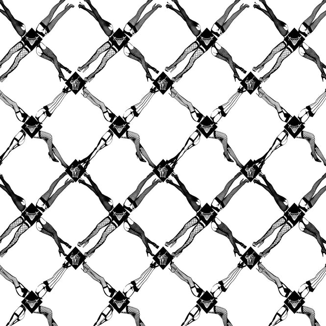 輸入壁紙 Flavor Paper / FISHNET / Licorice On White Vinyl