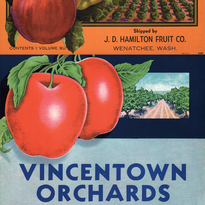 マステ感覚で貼る壁紙 【EASY WALL TAPE®︎】NLXL / Crate Labels Fruit & Vegetables B ENX08