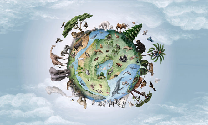 KIKKI BELLE / Animals of Earth W13296