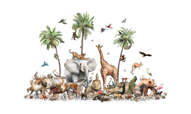 KIKKI BELLE / Beautiful Biodiversity W13302