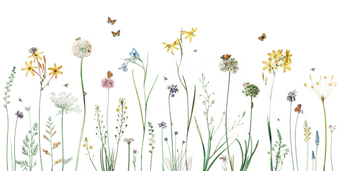 KIKKI BELLE / Butterfly Garden W13362