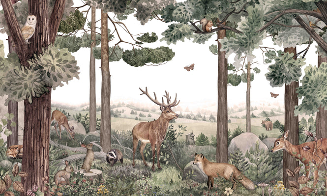 KIKKI BELLE / Forest Jive W13317