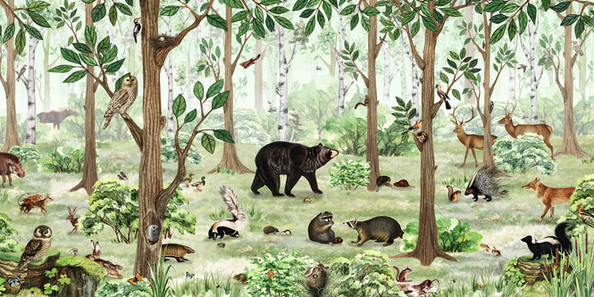 KIKKI BELLE / Forest Lookbook W13318