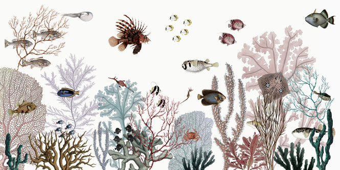 KIKKI BELLE / Roaring Reef - White W13381