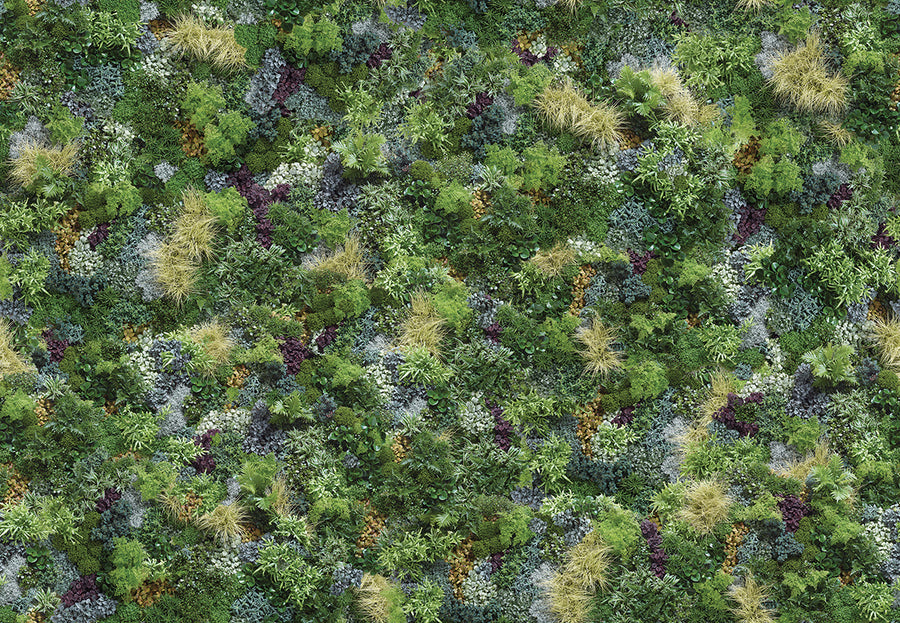 KOZIEL / Papier peint panoramique mur vegetal mix - Naturel LPV025