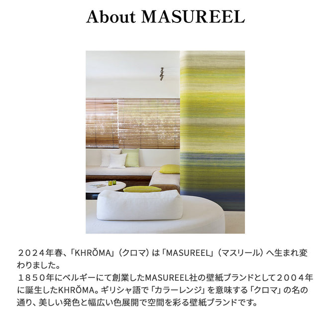 輸入壁紙 MASUREEL / SERICA / Chanderi Lime DGRIC206-300【H300cm ver.】