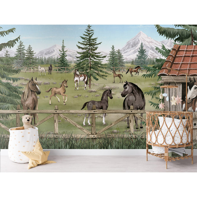 Oliver Robins / Horse Haven W17755