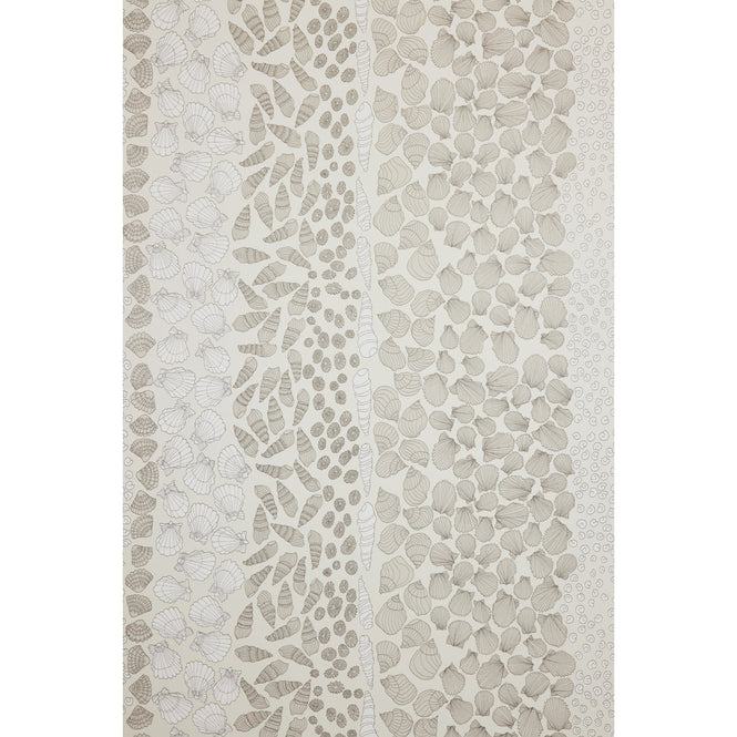 Abigail Edwards / Shells Cockle