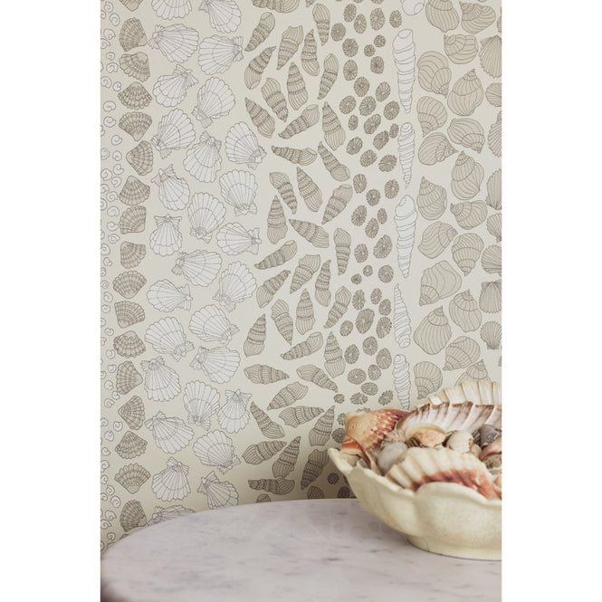 Abigail Edwards / Shells Cockle