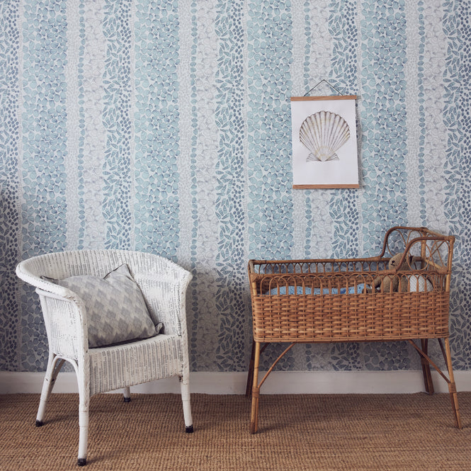 Abigail Edwards / Shells Ocean