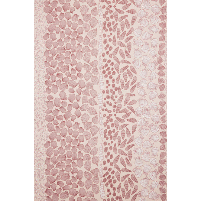 Abigail Edwards / Shells Scallop