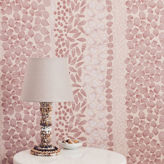 Abigail Edwards / Shells Scallop