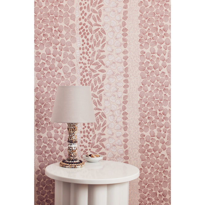 Abigail Edwards / Shells Scallop