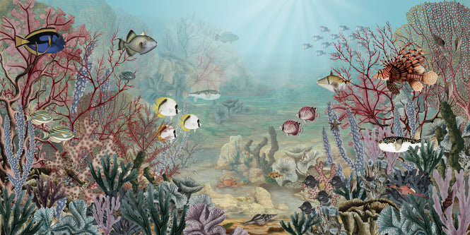 Sir Edward / Coral Creatures W13363
