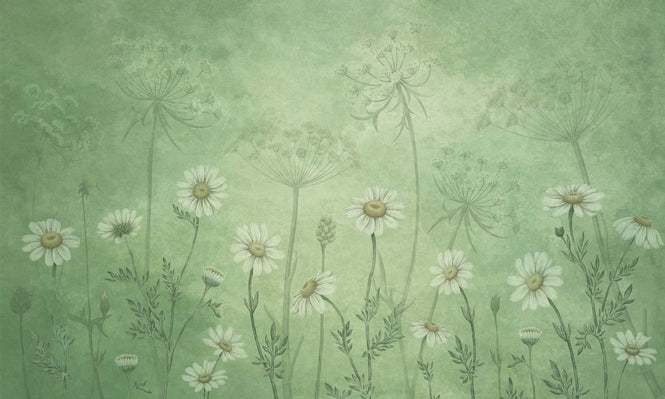 Sir Edward / Dazzling Daisies Green W13364