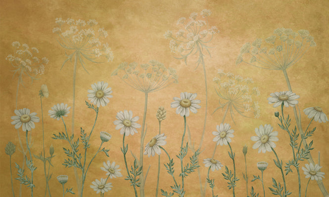 Sir Edward / Dazzling Daisies Yellow W13366