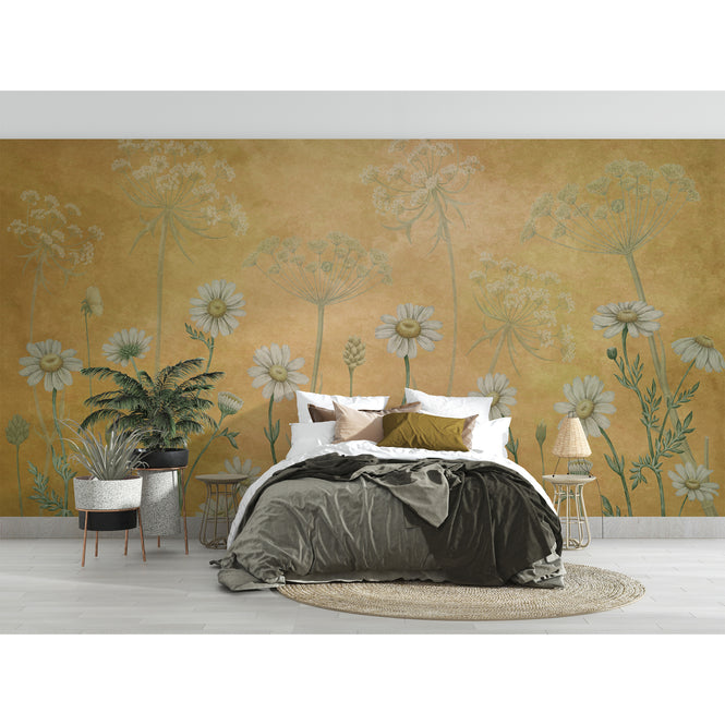 Sir Edward / Dazzling Daisies Yellow W13366