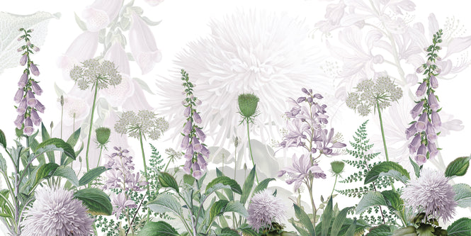 Sir Edward / Foxglove Flowers W13369