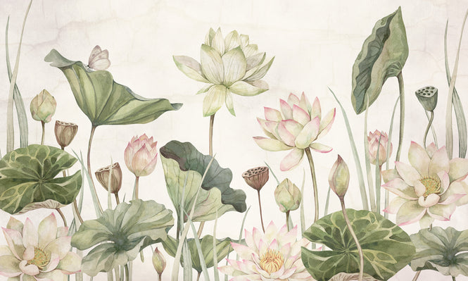 Sir Edward / Lovely Water Lilies W13377