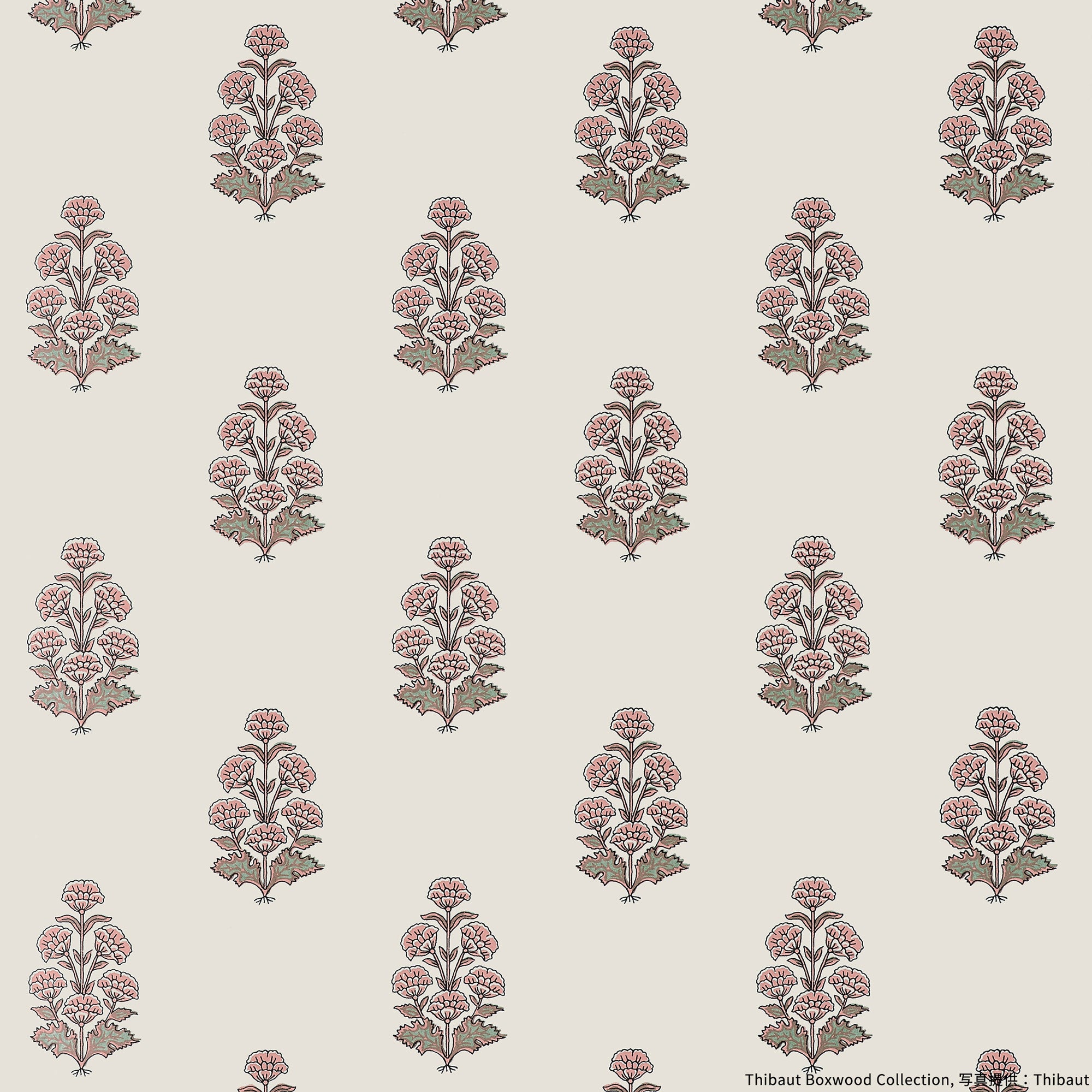 輸入壁紙 THIBAUT / Boxwood / AUDREY T10523 | 輸入壁紙専門店 WALPA