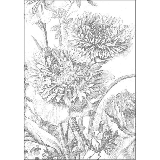 輸入壁紙 KEK Amsterdam / FLORA & FAUNA / WALL MURAL Engraved Flowers WP-330 (4パネル)