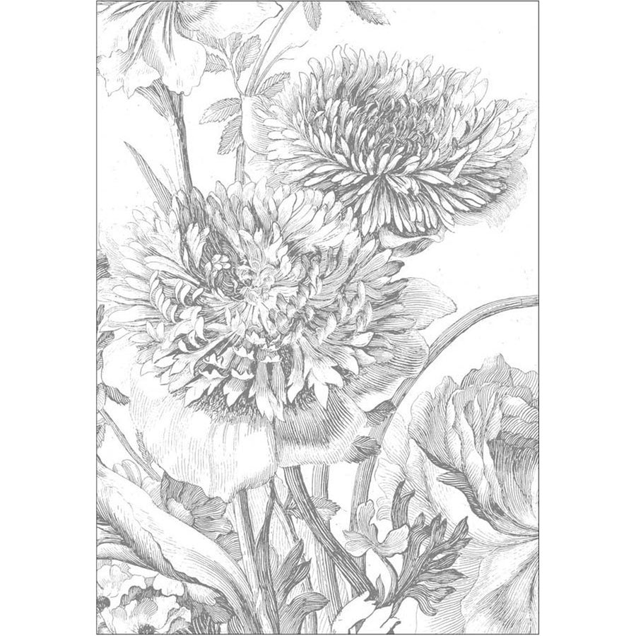 輸入壁紙 KEK Amsterdam / FLORA & FAUNA / WALL MURAL Engraved Flowers WP-330 (4パネル)