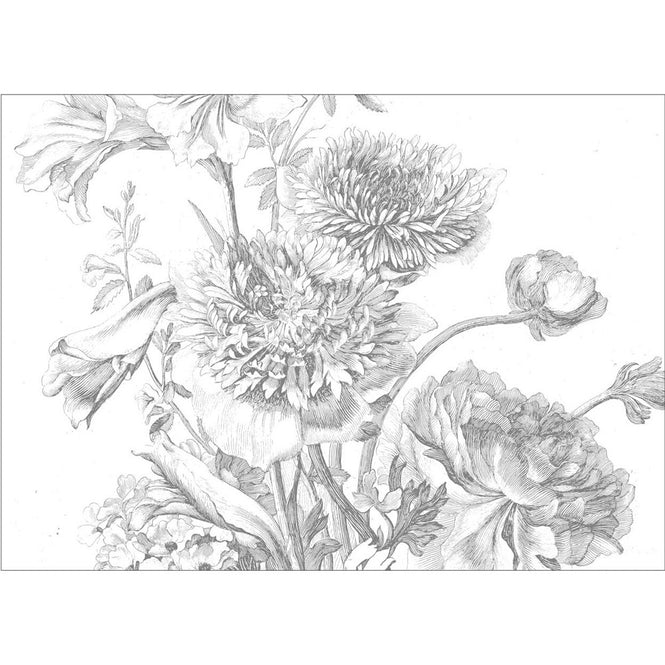 輸入壁紙 KEK Amsterdam / FLORA & FAUNA / WALL MURAL Engraved Flowers WP-338 (8パネル)