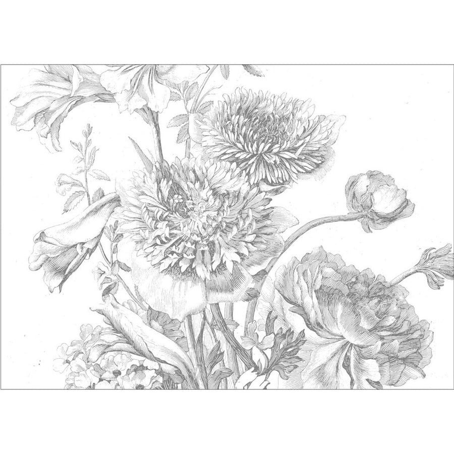 輸入壁紙 KEK Amsterdam / FLORA & FAUNA / WALL MURAL Engraved Flowers WP-338 (8パネル)