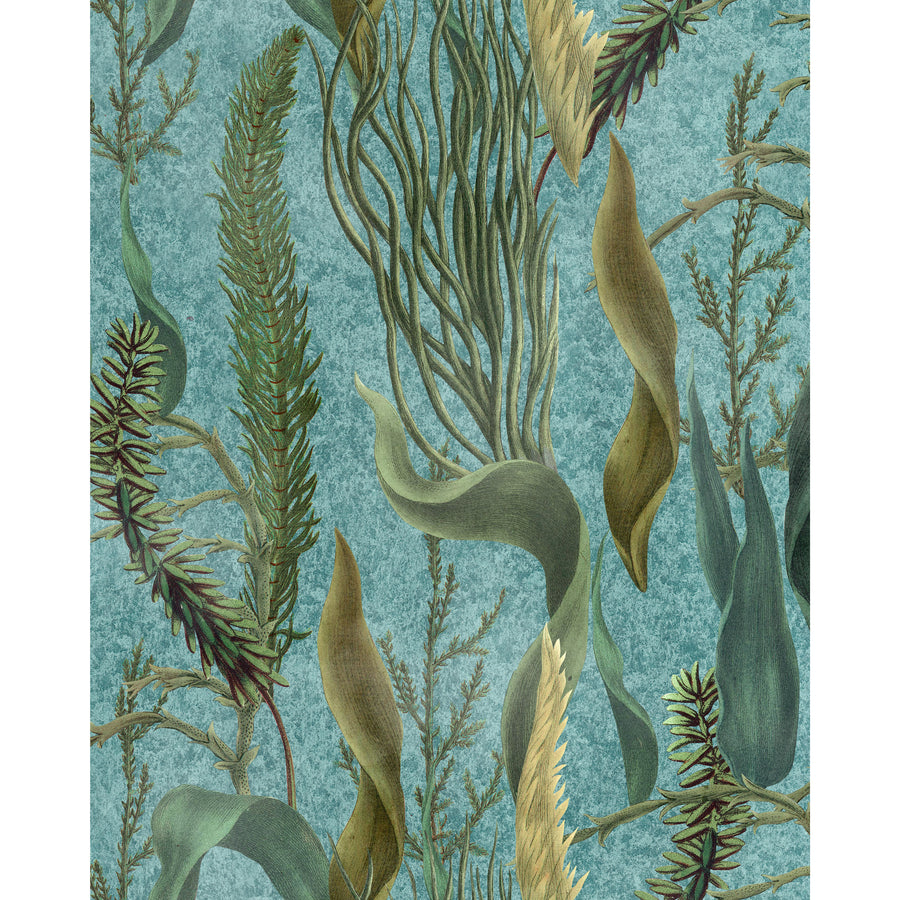 MINDTHEGAP / THE WETLANDS / AQUATIC PLANTS Aquamarine WP20716