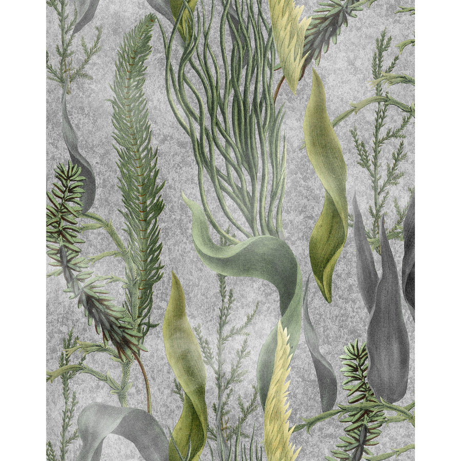 MINDTHEGAP / THE WETLANDS / AQUATIC PLANTS Grey WP20718