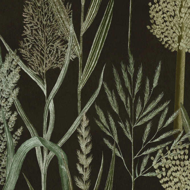 MINDTHEGAP / THE WETLANDS / RIVERSIDE FLORA Anthracite WP30166